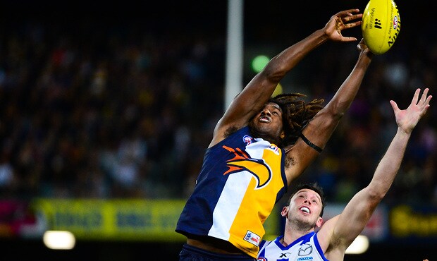 AFL 2013 Rd 08 - West Coast v North Melbourne